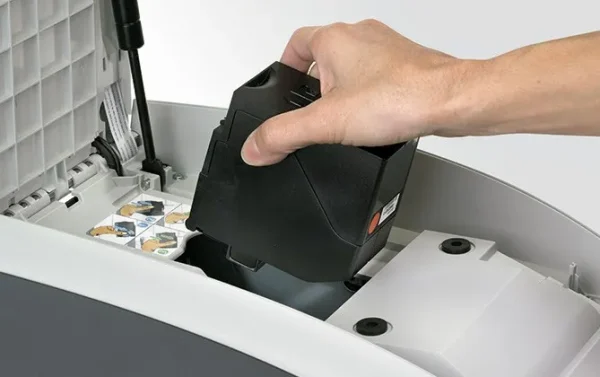 FRANQUEADORA INTIMUS