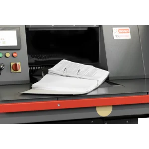 DESTRUCTORA INTIMUS 16.99 - Imatge 3